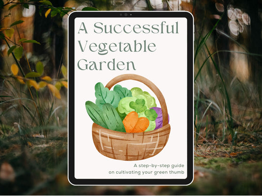 The Ultimate Beginner’s Bundle! 🪴 Stop Killing Your Plants & Transform Your House 🌱 +10 Gifts included ✨