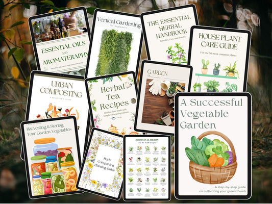 The Ultimate Beginner’s Bundle! 🪴 Stop Killing Your Plants & Transform Your House 🌱 +10 Gifts included ✨